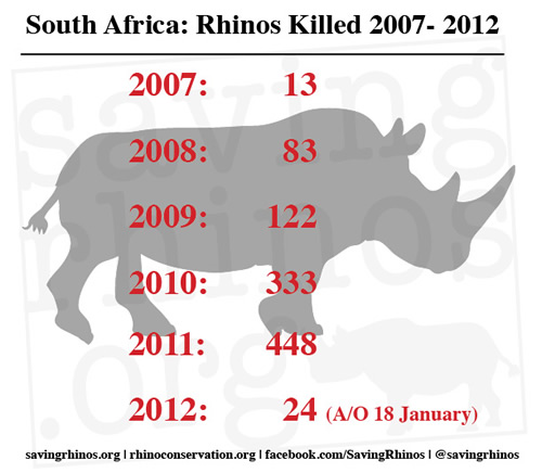number of rhino killed