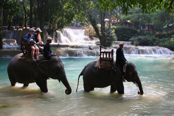 elephant tourism