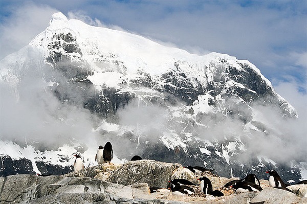 Sustainable destination antarctica