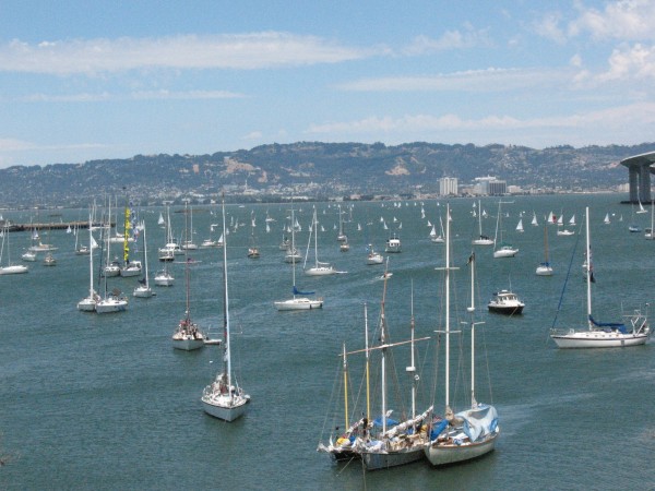 summer sailstice boats