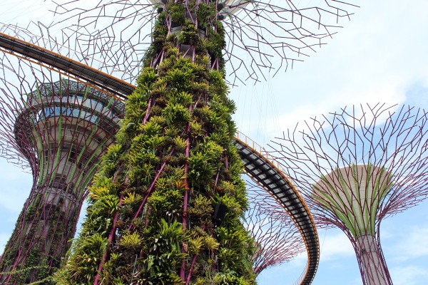 vertical gardens by bay singapore