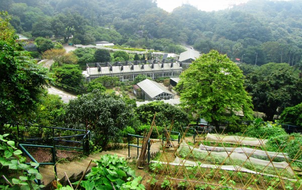 Kadoorie Farm and Botanic Garden, Hong Kong. Image: Bruce Nixon