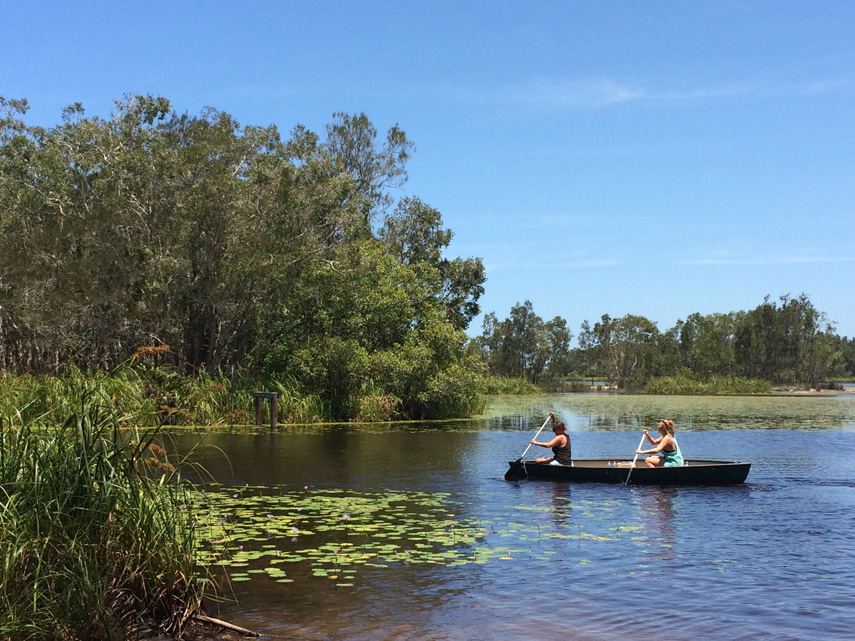 Canoeing Noosa Everglades