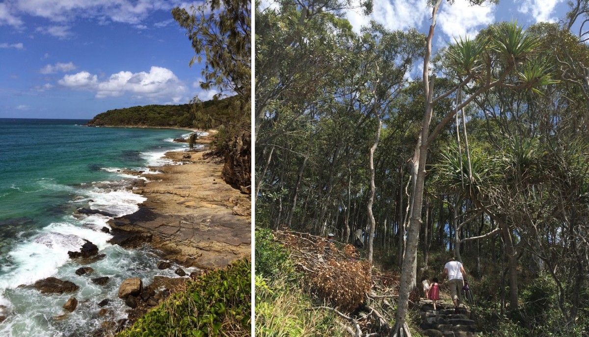 Noosa National Park