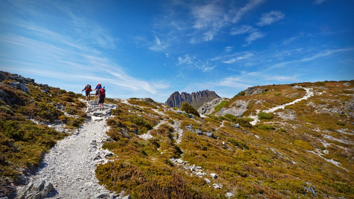 trek tasmania