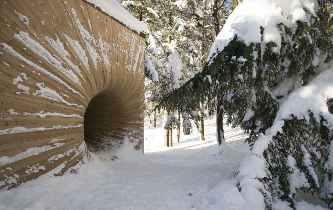 tubakuba in snow